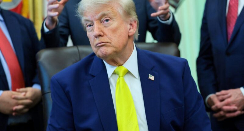 Trump reveals which NY Knicks game he plans to attend during NBA finals