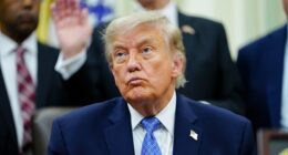 The Supreme Court has refused to hear Donald Trump's appeal of the $5 million verdict that found he sexually abused author E Jean Carroll