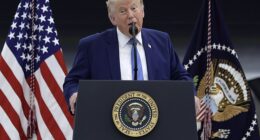 Donald Trump said the Lincoln Memorial Reflecting Pool will likely need to be emptied for repairs due to vandals just weeks after a $16million renovation
