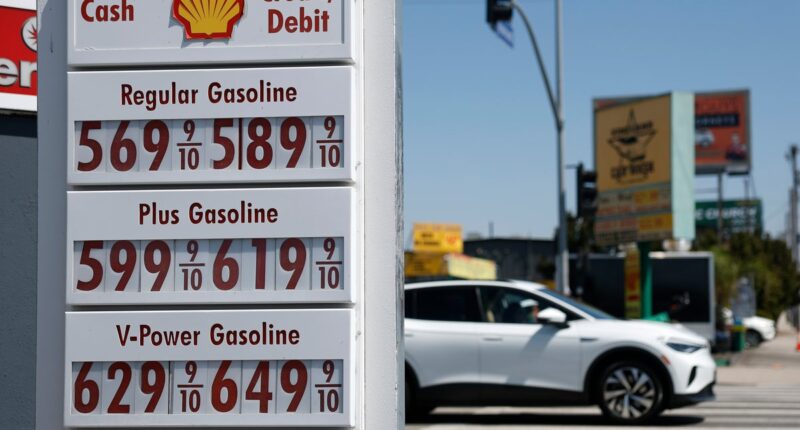 Trump’s gas price promise hits a roadblock as he turns on oil companies