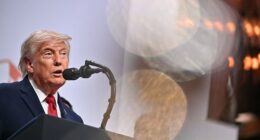 US President Donald Trump is seen in France. The Supreme Court sided with Trump Thursday on a major immigration case centered on temporary protections for hundreds of thousands of migrants living in the US