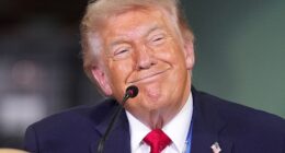 Trump has drawn up plans to send an unprecedented number of ICE agents into New York for the largest immigration crackdown in the city's history