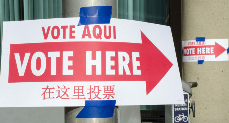 Vast Majority of Voters Want Voter ID in This State. – The National Pulse