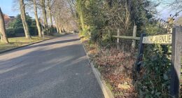 Several plots of land on Beech Avenue have been advertised online Future Property Auctions sparking fears of traveller land grabs among locals