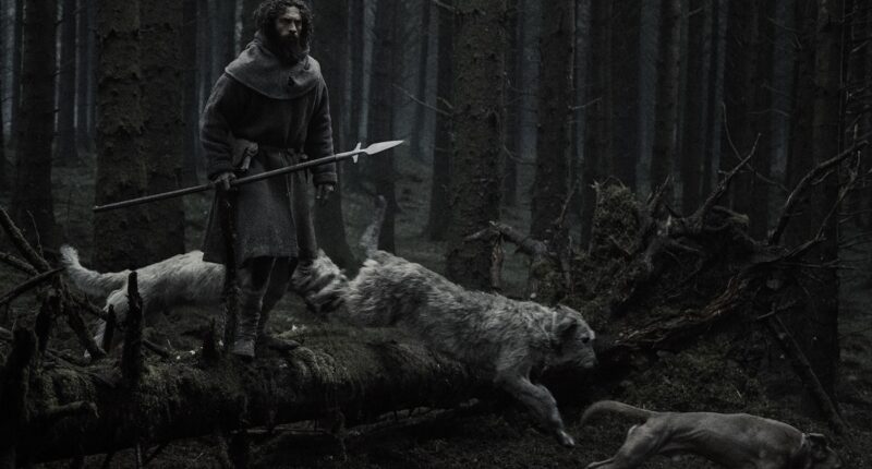 Aaron Taylor-Johnson Werwulf