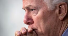 What the Heck? John Cornyn's New Post About TX Senate Race Is Raising Eyebrows – RedState