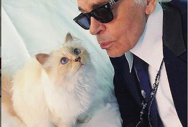 Karl Lagerfeld and the cat he was so devoted to, Choupette, before his death aged 85 in 2019