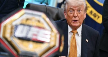 When is UFC White House? Date, start time, fight card and how to watch Freedom 250
