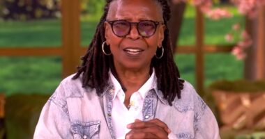 Whoopi Goldberg throws cue cards on 'The View' after multiple interruptions from co-hosts: 'Hush up!'