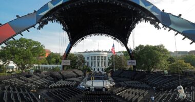 Why buy ads when you can sponsor a fight at the White House