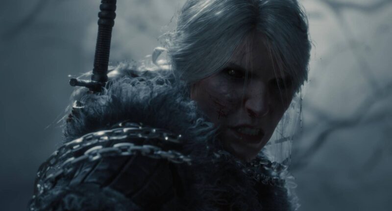 Witcher 4 Official Release Date And Post-Launch Update Leaves Gamers Split