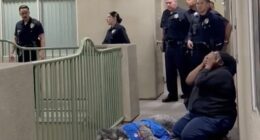 Marie Marseille absolutely devastated after her 2-year-old Golden Saint Berdoodle, Jameson, was killed on Saturday