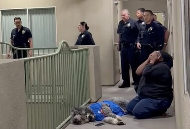 Marie Marseille absolutely devastated after her 2-year-old Golden Saint Berdoodle, Jameson, was killed on Saturday