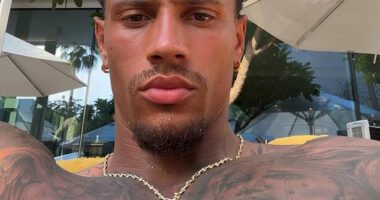 The immense spotlight on football courtesy of the World Cup has seen multitudes of female fans discover handsome Nigerian-German goalie Maduka Okoye (pictured)