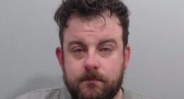 YouTuber who staged fake livestream to give himself alibi to murder his pregnant girlfriend is jailed for 31 years