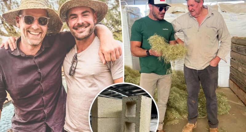 Zac Efron secretly building dream home in massive remote Australia rainforest, developer reveals