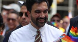 the Organized Crime Democrats are Losing to the Bolsheviks – HotAir