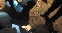 ‘I can’t breathe’: Harrowing bodycam footage shows moment police dismiss Henry Nowak’s stabbing claim