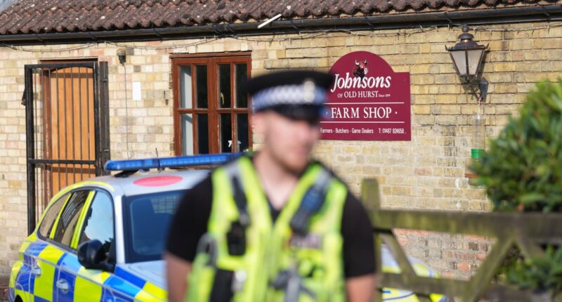 ‘Incredibly heroic’ zoo owner’s wife ‘jumped down 15ft drop’ to rescue boy from crocodile enclosure