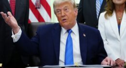 ‘No Kings’ Crowd Gets Wrecked by One Brutally Honest Media Column – RedState