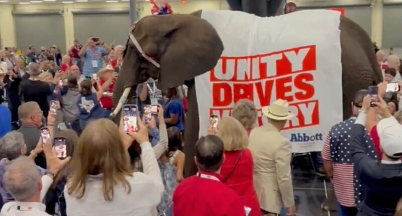 ‘They did it again’: Texas GOP brings a real elephant to a convention - as social users point out another prediction from The Simpsons
