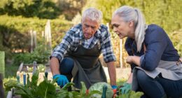 ‘We own our home outright’: I am 67 and earn $100,000. Do I take my $30,000 Social Security now or wait?