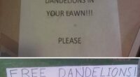 40 Passive-Aggressive Notes From Neighbors Who Decided Knocking On The Door Was Far Too Civil