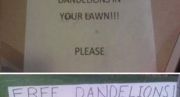 40 Passive-Aggressive Notes From Neighbors Who Decided Knocking On The Door Was Far Too Civil