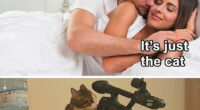 61 &ldquo;Blursed&rdquo; Memes To Make You Laugh, Then Wonder What&rsquo;s Wrong With You