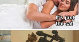 61 &ldquo;Blursed&rdquo; Memes To Make You Laugh, Then Wonder What&rsquo;s Wrong With You
