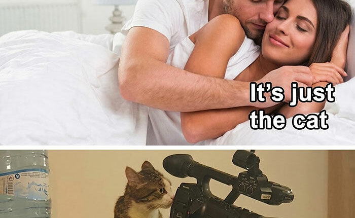 61 &ldquo;Blursed&rdquo; Memes To Make You Laugh, Then Wonder What&rsquo;s Wrong With You