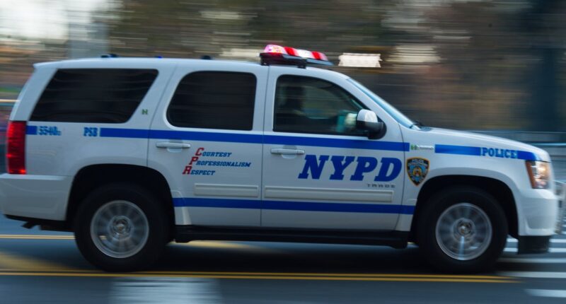 8 Wounded In Mass Shooting At July Fourth Cookout In Coney Island
