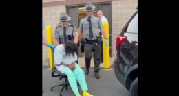 A State Trooper Has Been Killed by an Illegal Alien Truck Driver. – The National Pulse