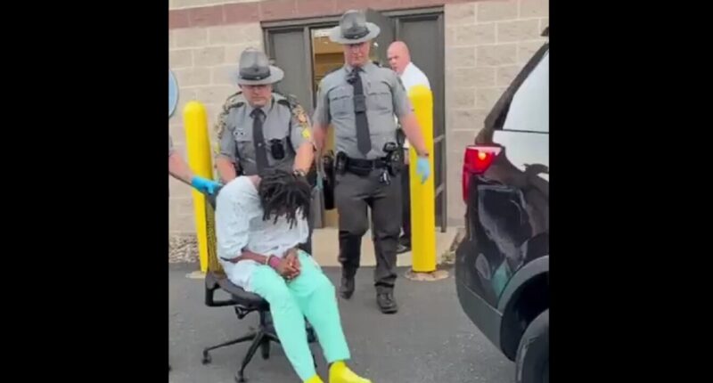 A State Trooper Has Been Killed by an Illegal Alien Truck Driver. – The National Pulse