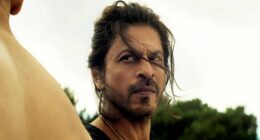 All 7 YRF Spy Universe Movies, Ranked