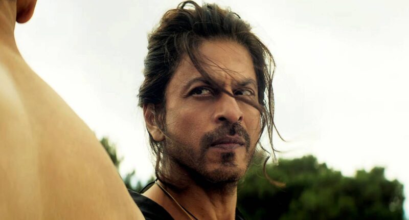 All 7 YRF Spy Universe Movies, Ranked