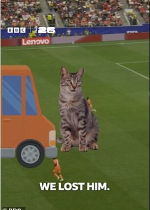 BBC co-commentator Danny Murphy surprised viewers of Norway's match with the Ivory Coast with a brief anecdote about the disappearance of his cat Bob