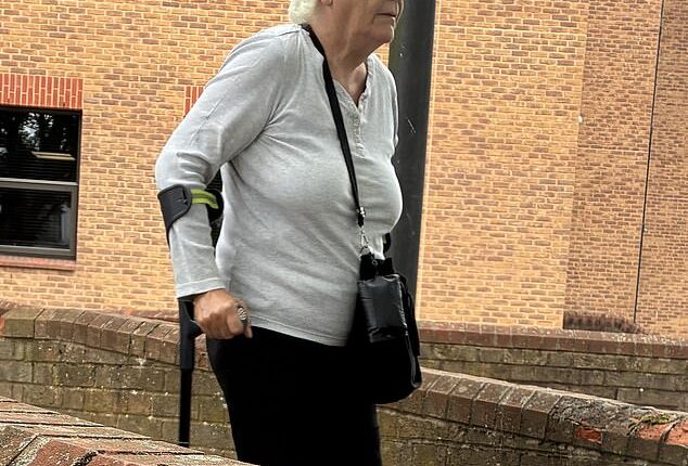Dawna Bird, 66, from Derby, was handed a five-month prison term, suspended for a year