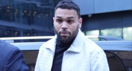 Chris Brown Ordered To Pay $13 Million After His Dog Allegedly Disfigured His Housekeeper (UPDATE)
