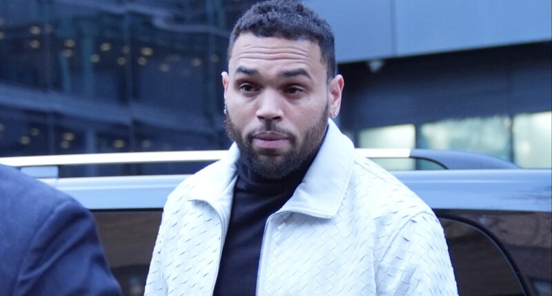 Chris Brown Ordered To Pay $13 Million After His Dog Allegedly Disfigured His Housekeeper (UPDATE)