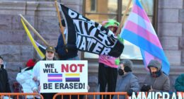 Democrats Say BLM Flag Better Than USA. – The National Pulse