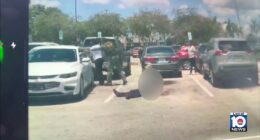 Disturbing Walmart Parking Lot Video Shows Army Veteran’s Horrific End After Furious Dispute With Woman – TVovermind
