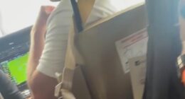 Harrowing footage from INSIDE plane shows terror-stricken passengers plunge into NYC river after Hamptons trip: Screams of 'mayday' as they brace during crash