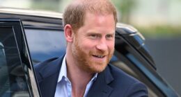 The prince will undertake several days of engagements in the capital solo while the California¿based family are on holiday at an undisclosed location in mainland Europe (file image)