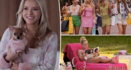 'Legally Blonde' prequel release date