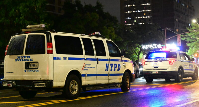 Prayers Up! At Least 8 Injured, Including 4 Children, In NYC Mass Shooting During July 4th Celebration (VIDEOS)