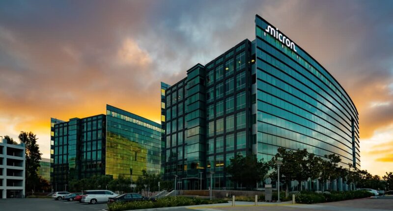 Michael Burry makes a bearish bet against hot memory stock Micron: reports