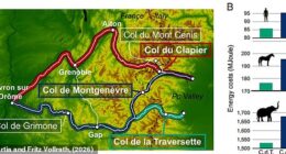 Scientists have revealed the route that Hannibal might have used to cross the Alps in 218 BC, showing that the Col de la Traversette would have been the most efficient route