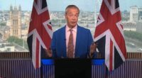 The Reform leader lashed out at the 'establishment' as he announced he would step down from his Clacton seat and seek a fresh mandate from voters in Essex