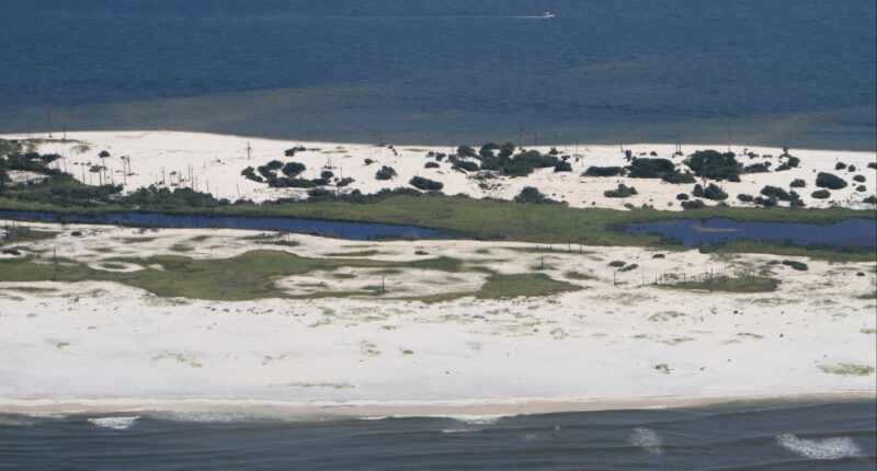 Nolan Xavier Wells Nolan Xavier Wells' friends Nolan Xavier Wells Horn Island Nolan Xavier Wells' remains Horn Island Mississippi